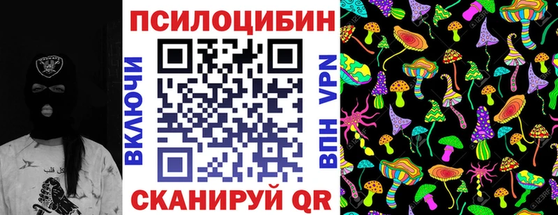 Псилоцибиновые грибы MAGIC MUSHROOMS  где можно купить   Кингисепп 
