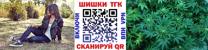 купить наркоту  Кингисепп  Канабис сатива 